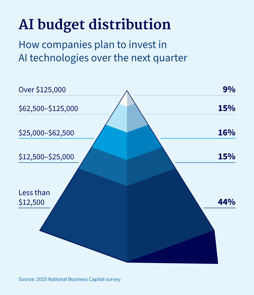 AI budget distribution pyramid